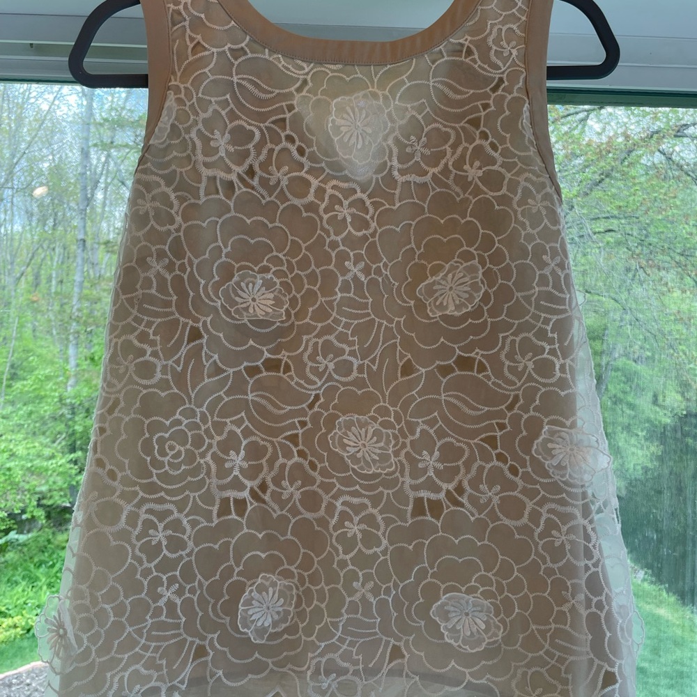 Ann Taylor Floral Lace Top - Cream